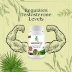Mint Veda Natural and Herbal Saw Palmetto Capsules, 800 Mg 60 Veg Capsule - Image 3